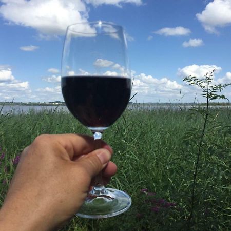 Moulis-en-Médoc Domaine De Giron B&B 외부 사진