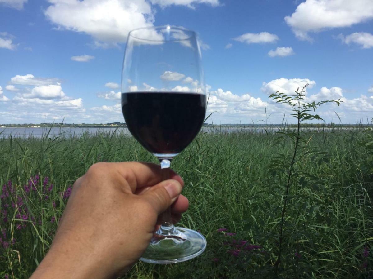 Moulis-en-Médoc Domaine De Giron B&B 외부 사진